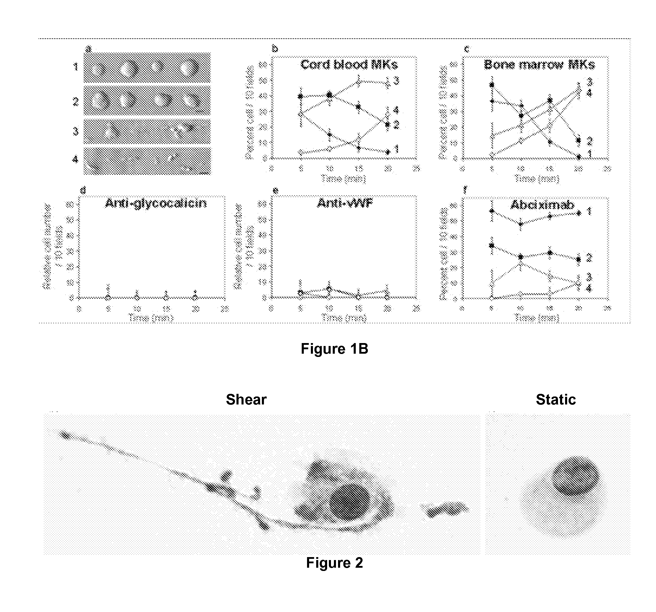 Method for producing platelets from megakaryocytes