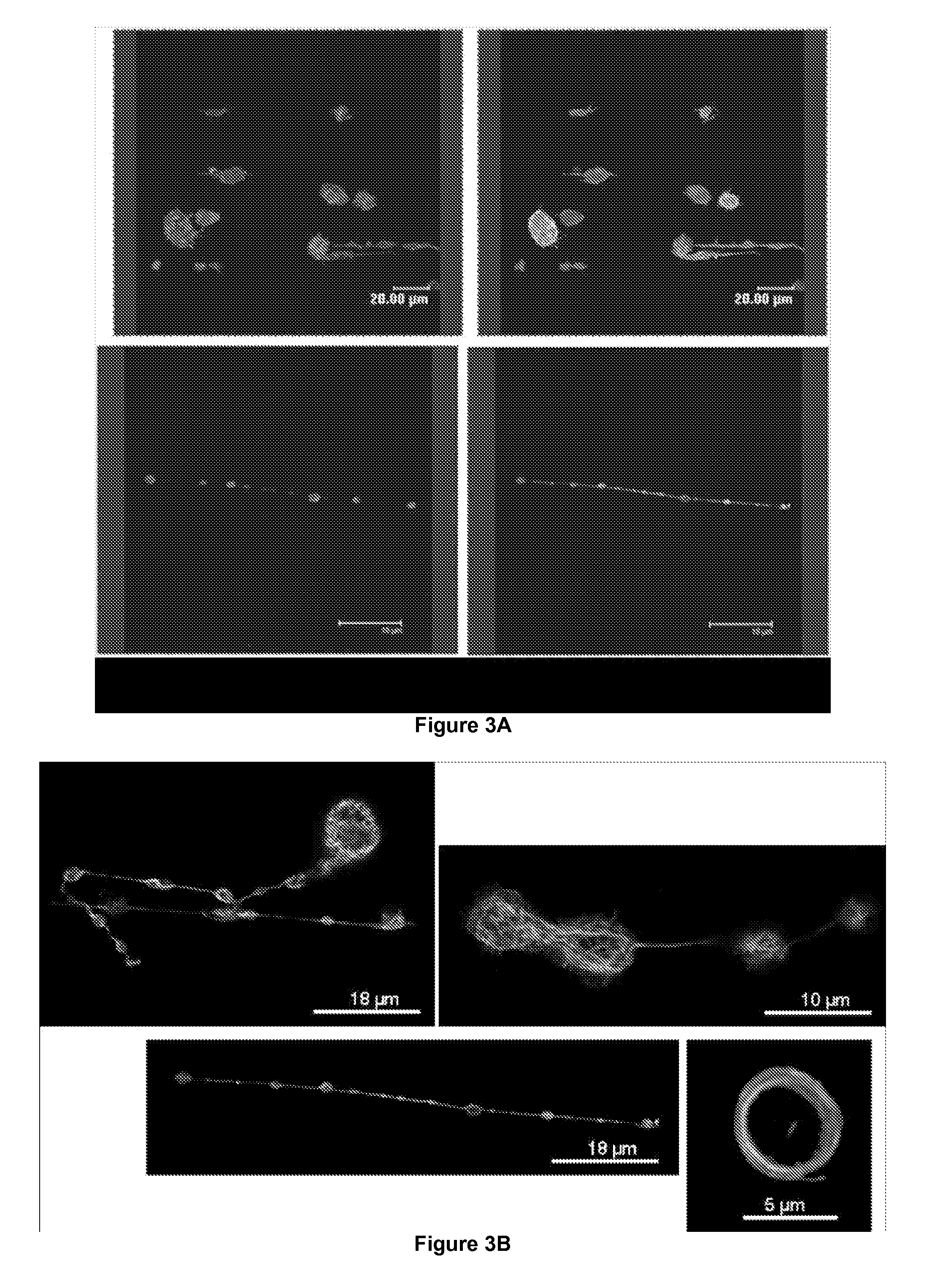 Method for producing platelets from megakaryocytes