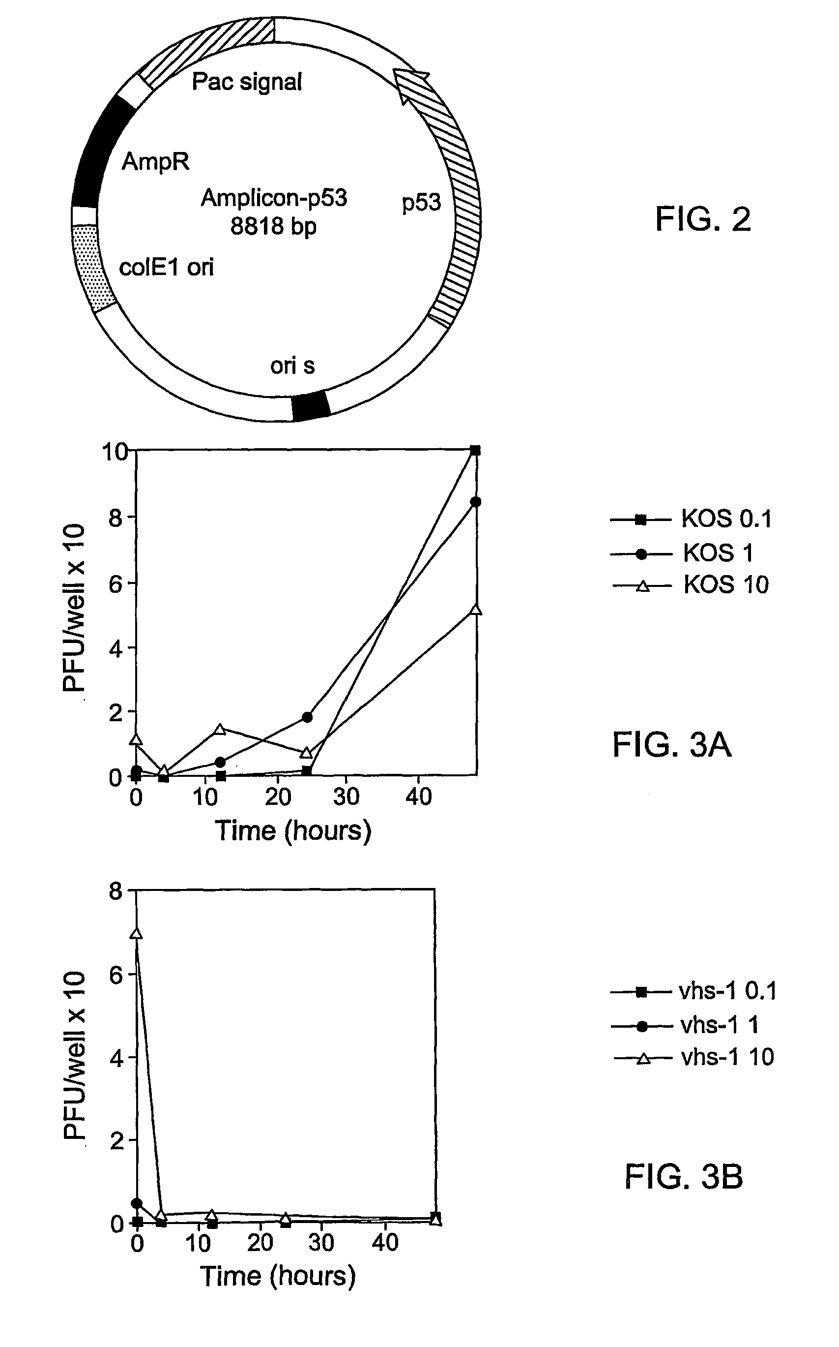 Composite oncolytic herpes virus vectors