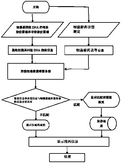 Rapid prediction system and method for bacterial drug resistance