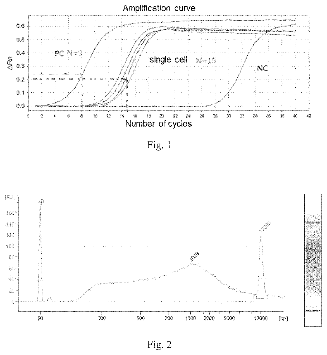 Method for constructing single cell sequencing library and use thereof