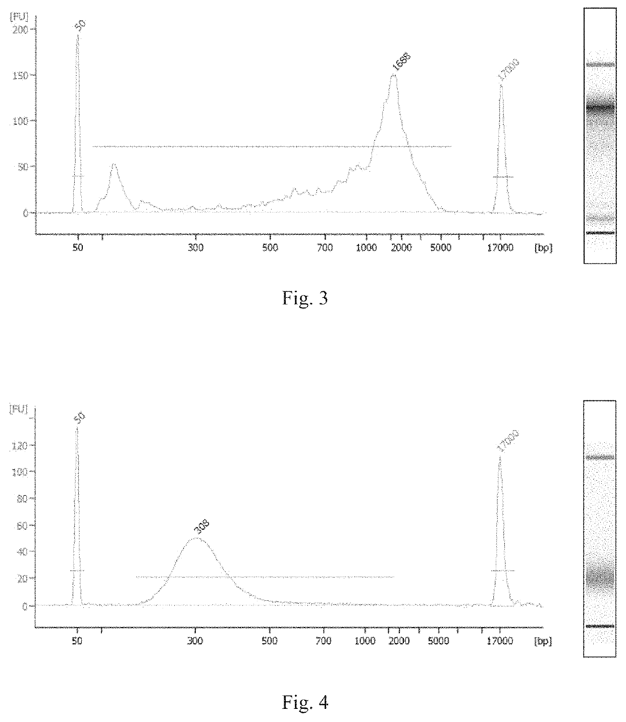 Method for constructing single cell sequencing library and use thereof