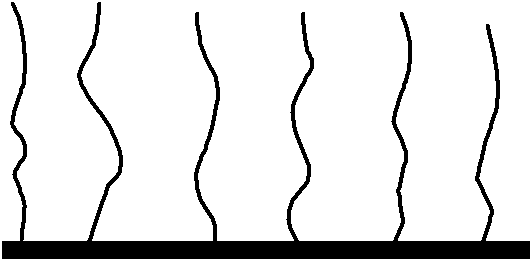 Polycarboxylic acid, use thereof and water reducer containing same