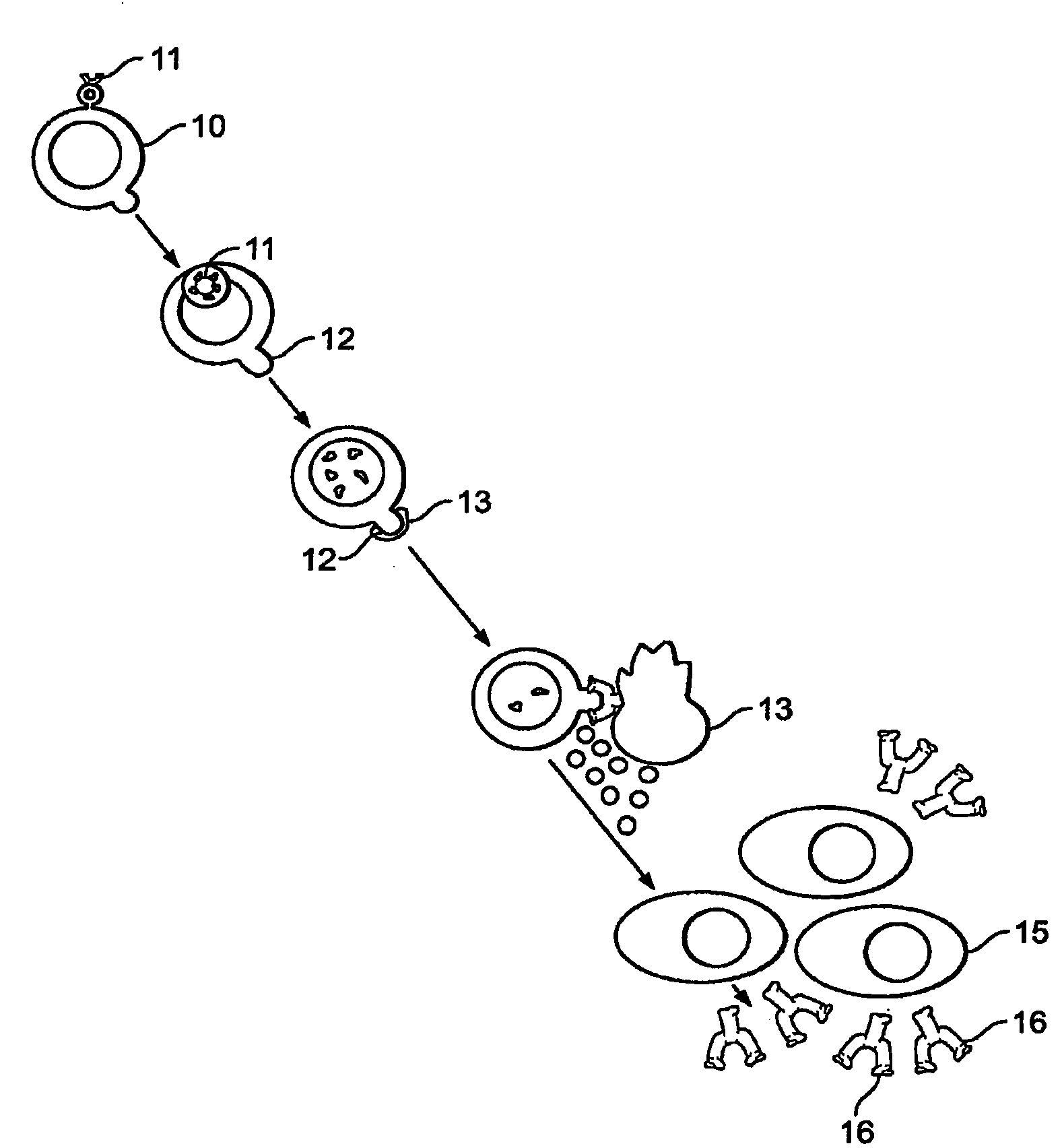 Method of treating genital herpes