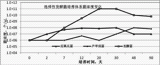 Method for selectively activating main beneficial bacteria in oil deposit and keeping high concentration