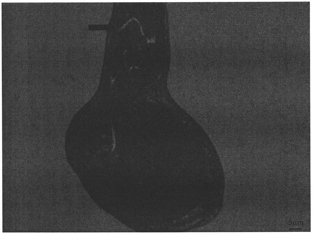 A kind of natural biological nano-targeted drug complex material and its preparation method and application