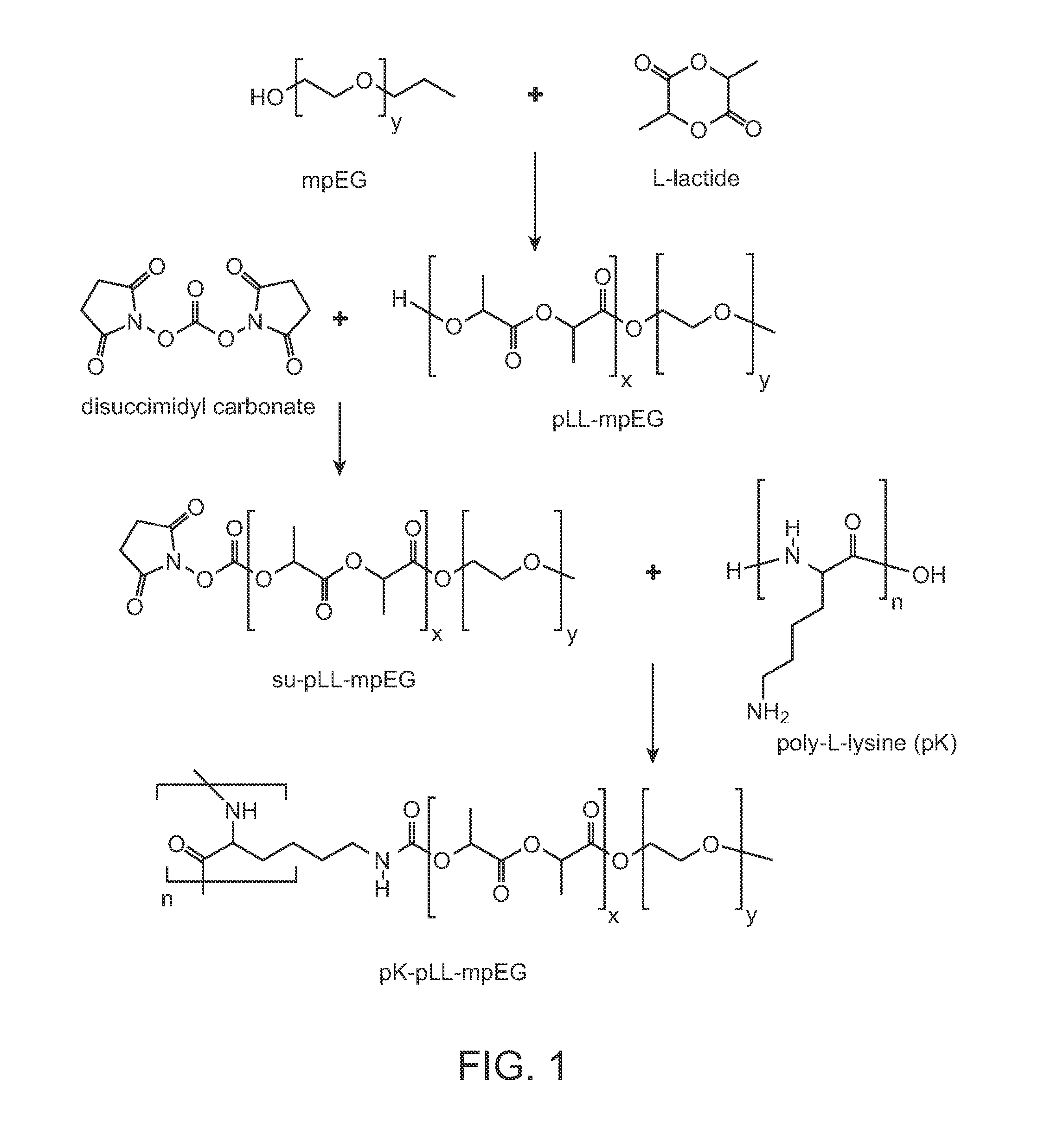 Biodegradable Microspheres and Methods of Use Thereof