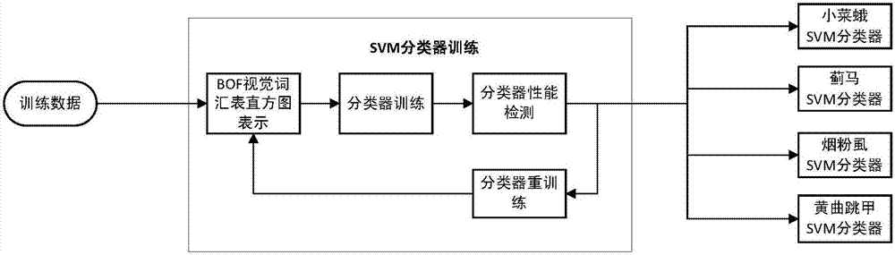 Method for detecting and counting major vegetable pests in South China based on machine vision