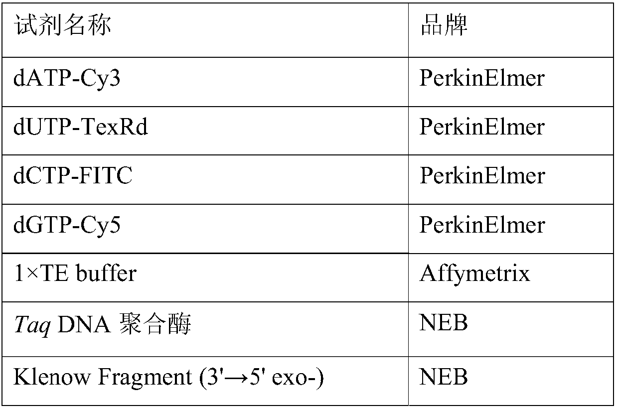 Method for rapidly detecting 3'-5' exo-activity of DNA polymerase or mismatching and kit thereof