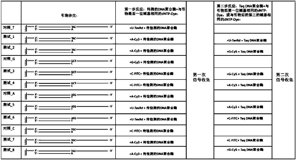 Method for rapidly detecting 3'-5' exo-activity of DNA polymerase or mismatching and kit thereof