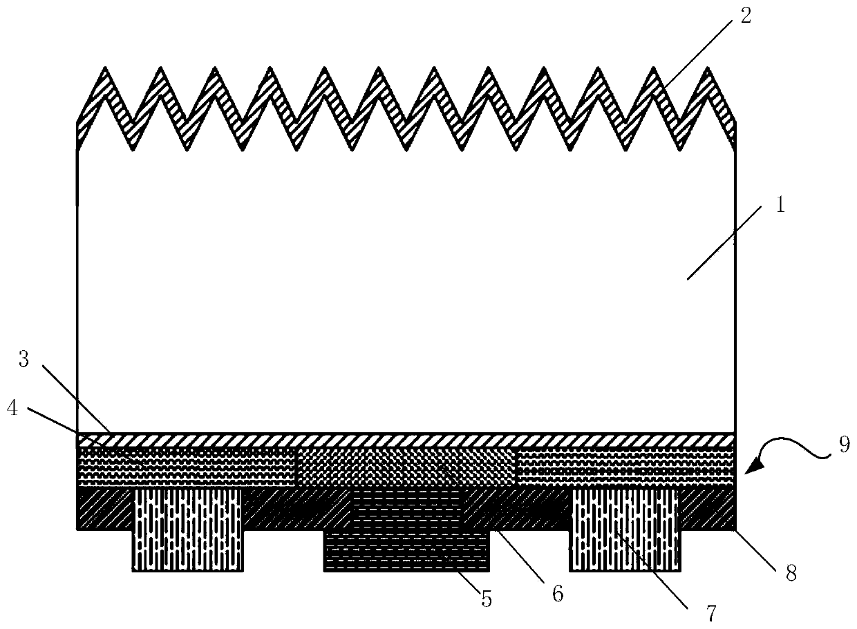 Back contact solar cell