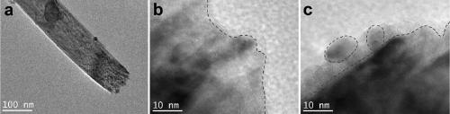 Titanium dioxide photoelectrode co-modified by carbon dots and carbon nitride, as well as preparation method and application thereof