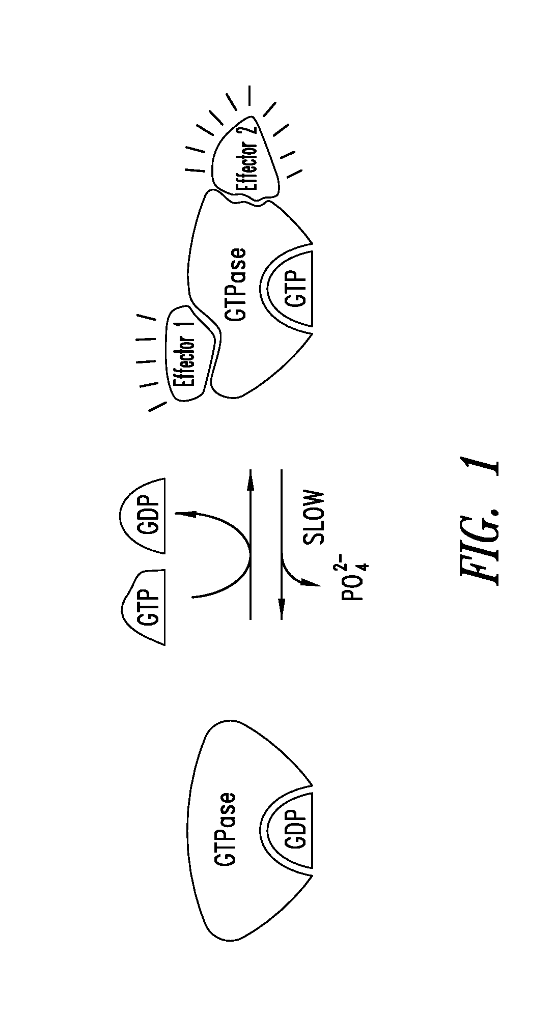 Inhibitors of kras g12c mutant proteins