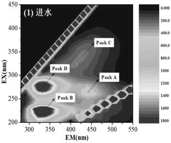 Terminal treatment system and method for purifying urban non-point source organic pollution