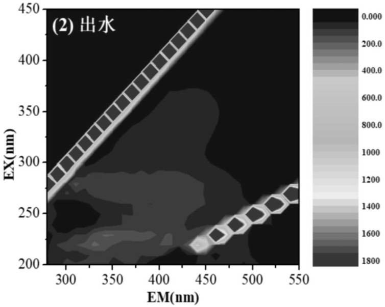 Terminal treatment system and method for purifying urban non-point source organic pollution