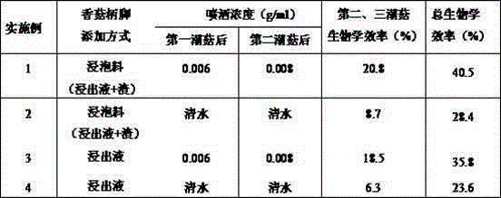 Straw mushroom cultivation method