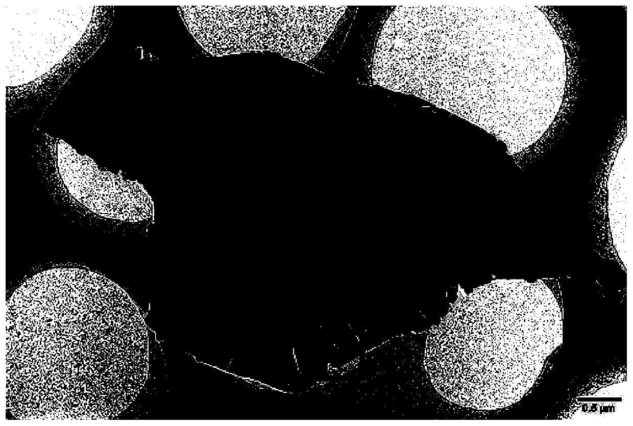 Molybdenum disulfide nano-sheet material preparation method