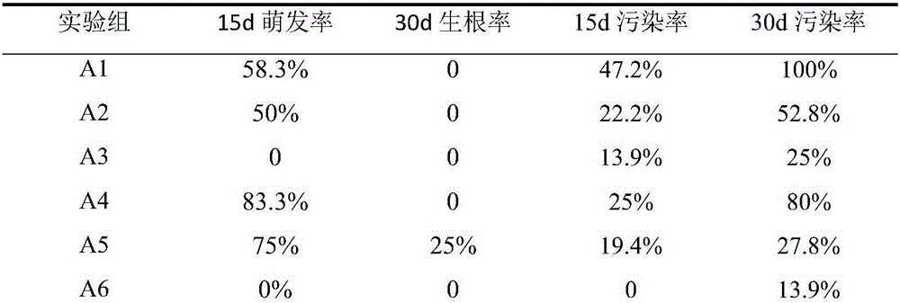 Making method of two-layer embedded artificial seeds of orychophragmus violaceus