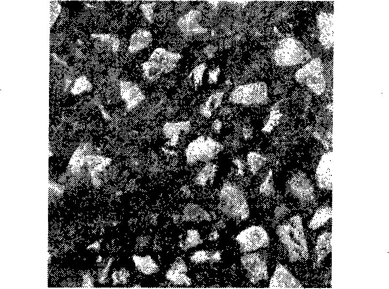 Method for determine surface structure depth of exposed aggregate concrete by curved surface fitting