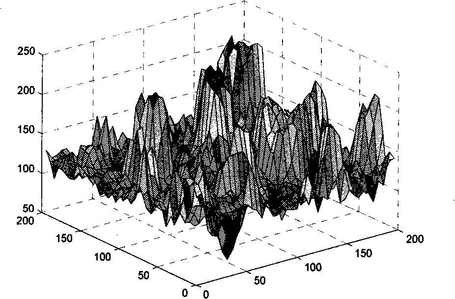 Method for determine surface structure depth of exposed aggregate concrete by curved surface fitting