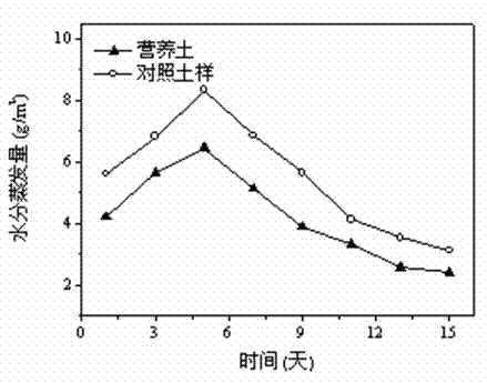 Water retaining SAP (Super Absorbent Polymer)-mixed soil prepared by using biogass fermentative residues and preparation method thereof