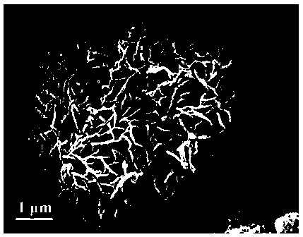 Core-shell structure high nickel gradient nickel cobalt manganese aluminum quaternary positive electrode material and preparation method thereof