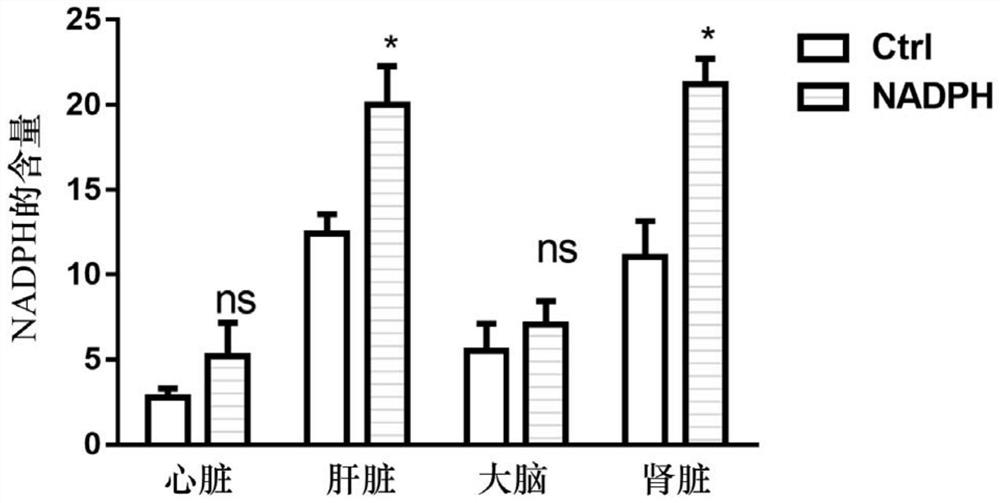 Application of nadph and vitamin E in combination for preparing medicine for preventing or treating liver injury