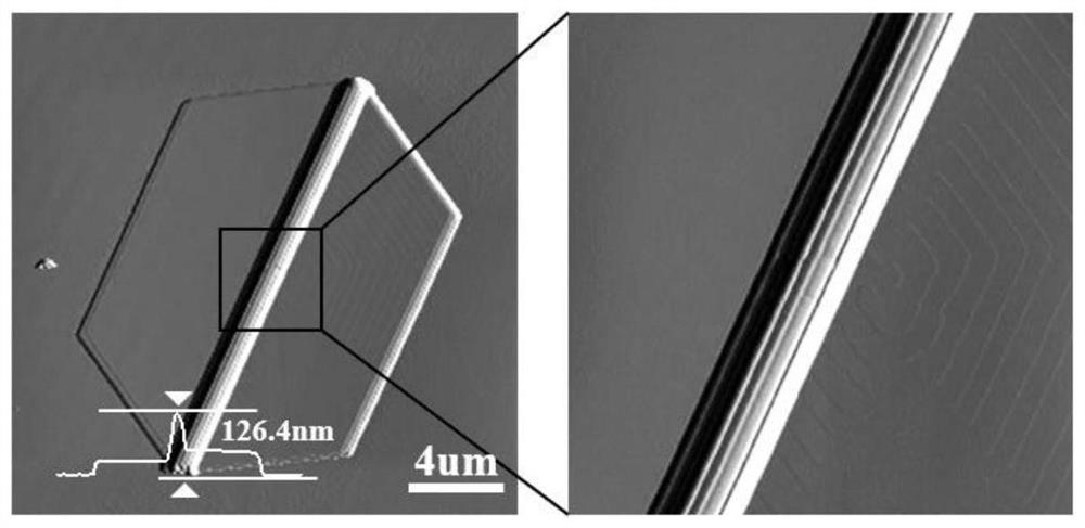 Tin sulfide/tin disulfide heterojunction material and preparation method thereof