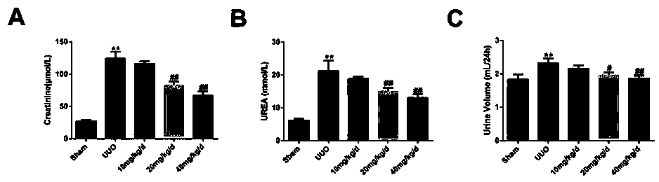 Application of Panax ginseng saponins IVa in the preparation of medicines for treating nephritis or renal fibrosis