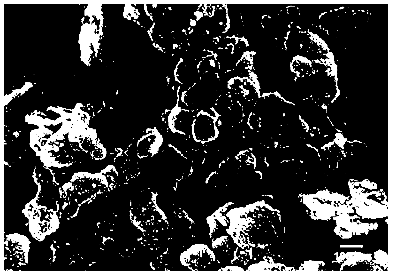 Method for synthesizing iron-containing hydrotalcite-like compound by utilizing prussian blue as raw material