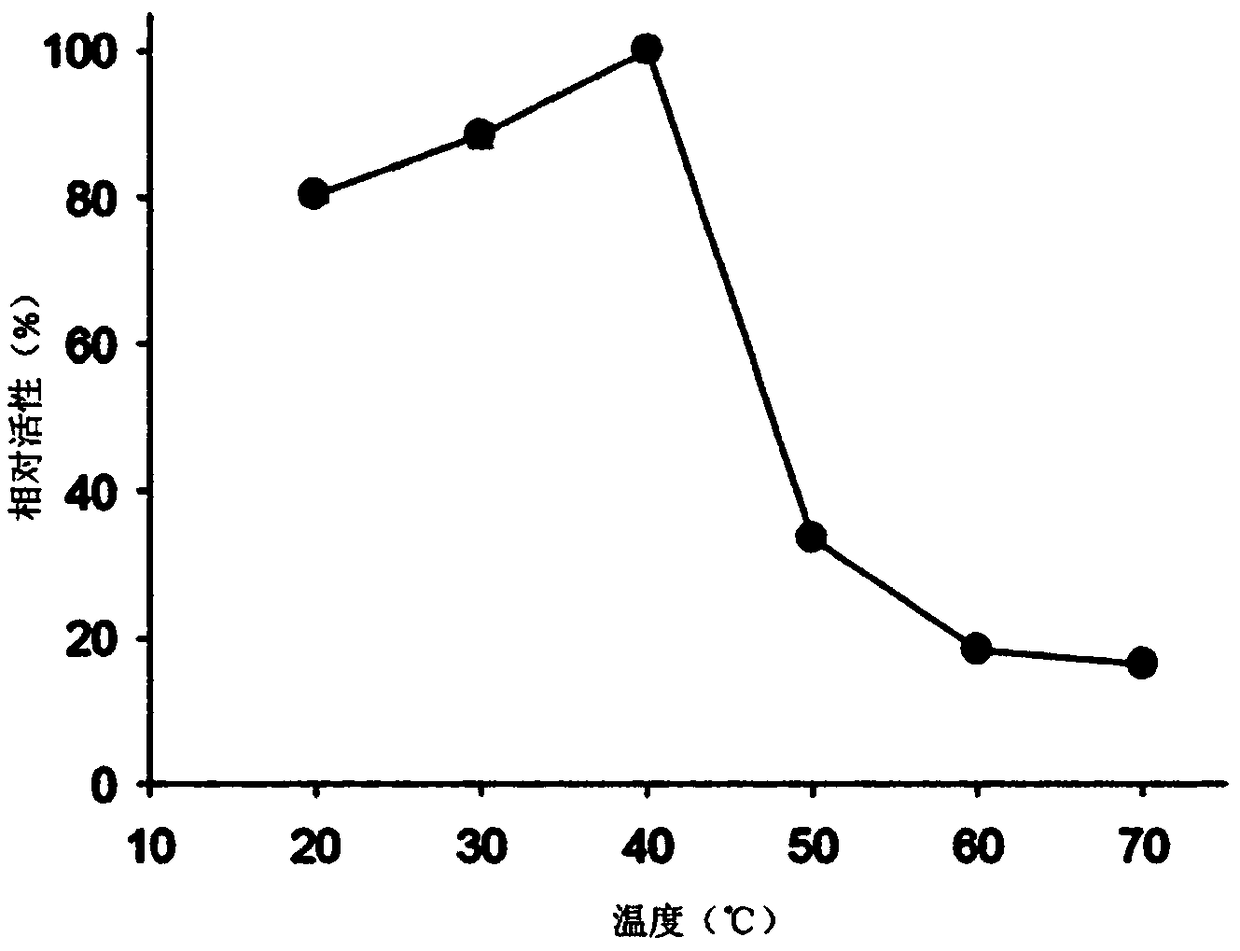 NOVEL [beta]-1,3-1,6-ENDOGLUCANASE PRODUCING, FROM [beta]-GLUCAN, OLIGOSACCHARIDES OR GLUCOSE