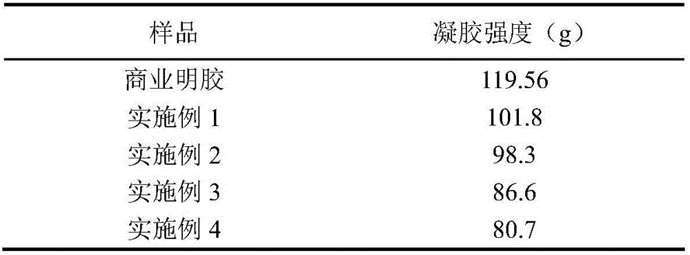 Preparation method of low-fishiness salmon skin gelatin