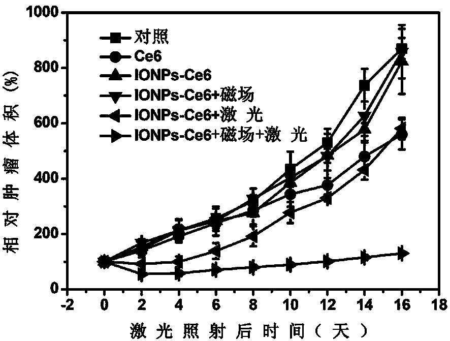 Polyethylene glycol modified magnetic nanoparticle and application thereof