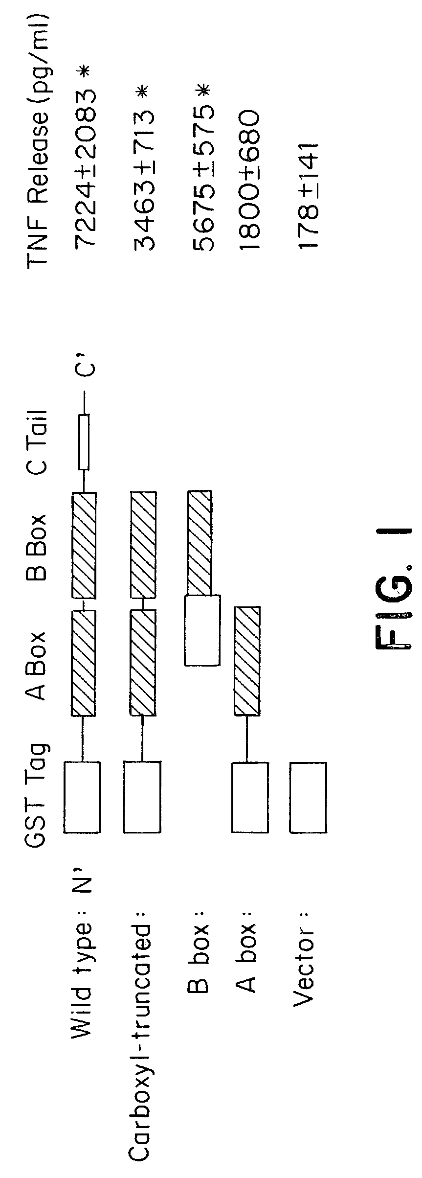 Use of HMGB fragments as anti-inflammatory agents