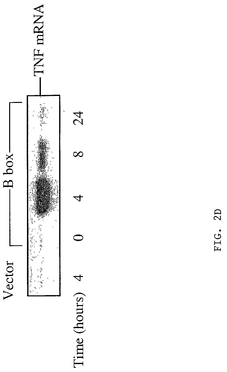 Use of HMGB fragments as anti-inflammatory agents