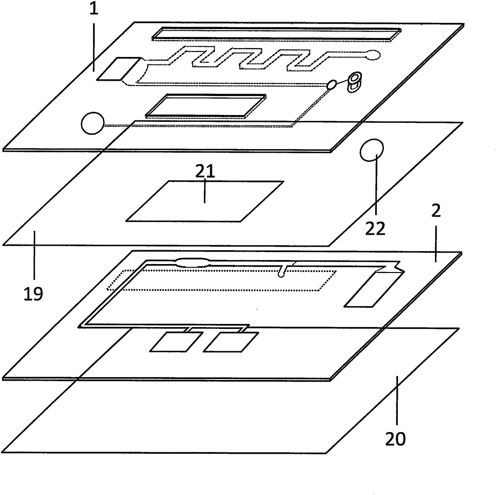 Magnetic particle chemiluminescence double-layer micro-fluidic chip used for whole-blood sample detection