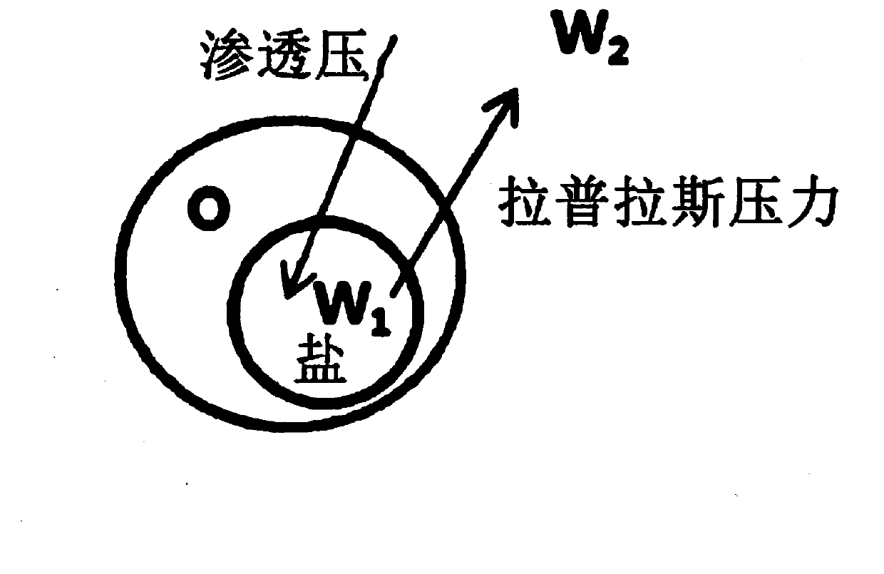 Multiple emulsion composition having improved stability