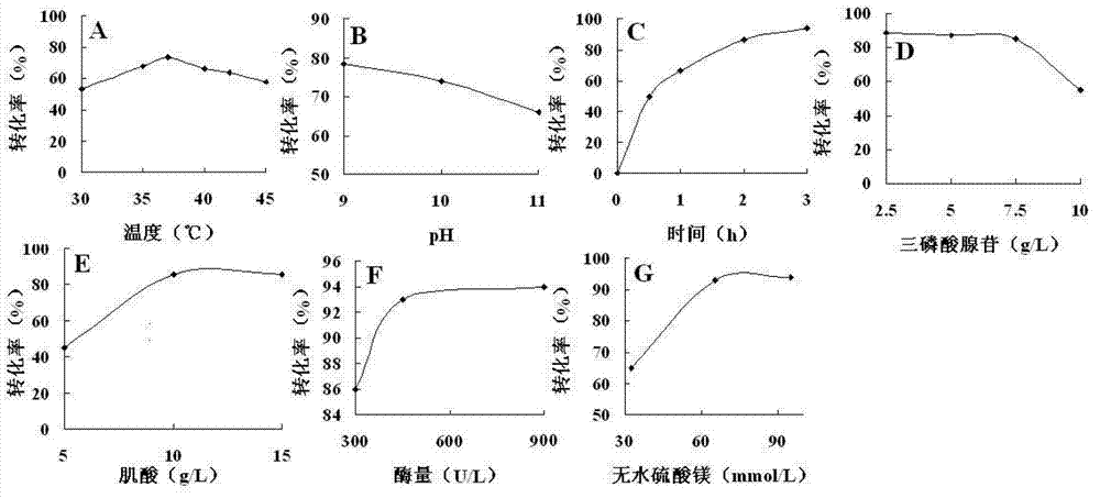 Method for producing phosphocreatine by microbial enzyme method