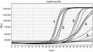 Novel coronavirus nucleic acid extraction kit and nucleic acid extraction method