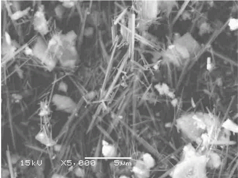 Method for utilizing oxidation alkaline leaching and desliming to re-concentrate vanadium-titanium magnetite concentrates