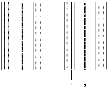 Paddy rice broad-width direct seeding and simultaneous seeding fertilizing method