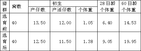 Breeding method for Jiangquan white Duroc pigs