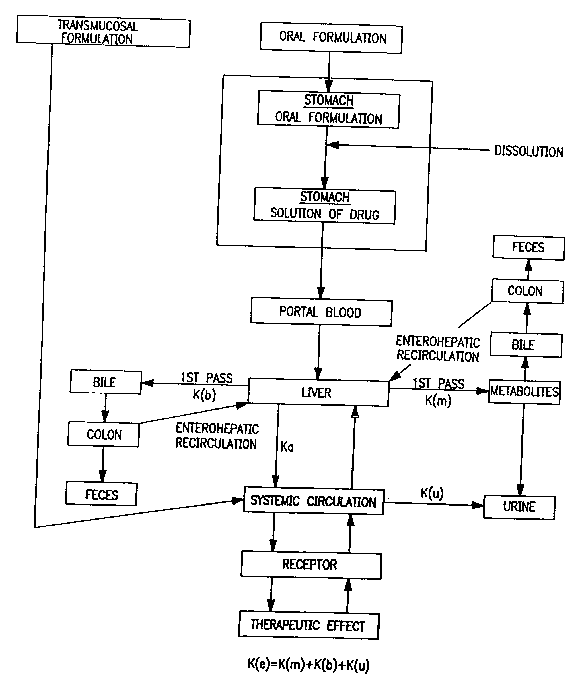 Buccal, polar and non-polar spray or capsule containing drugs for treating allergies or asthma