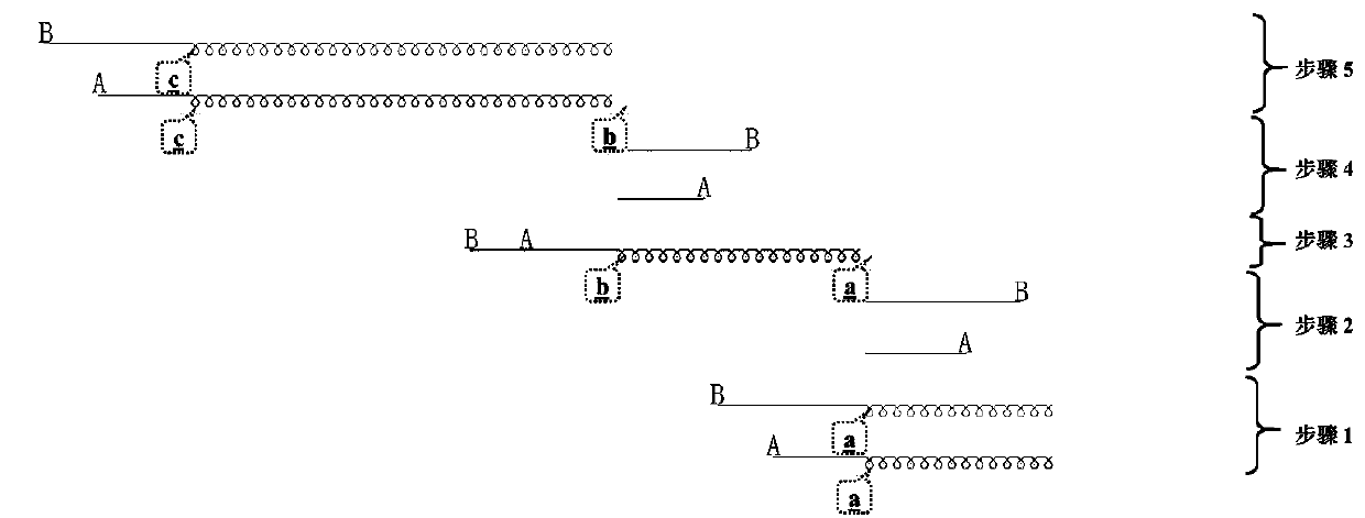 Collective stitch type complex tissue knitted fabric and knitting method thereof