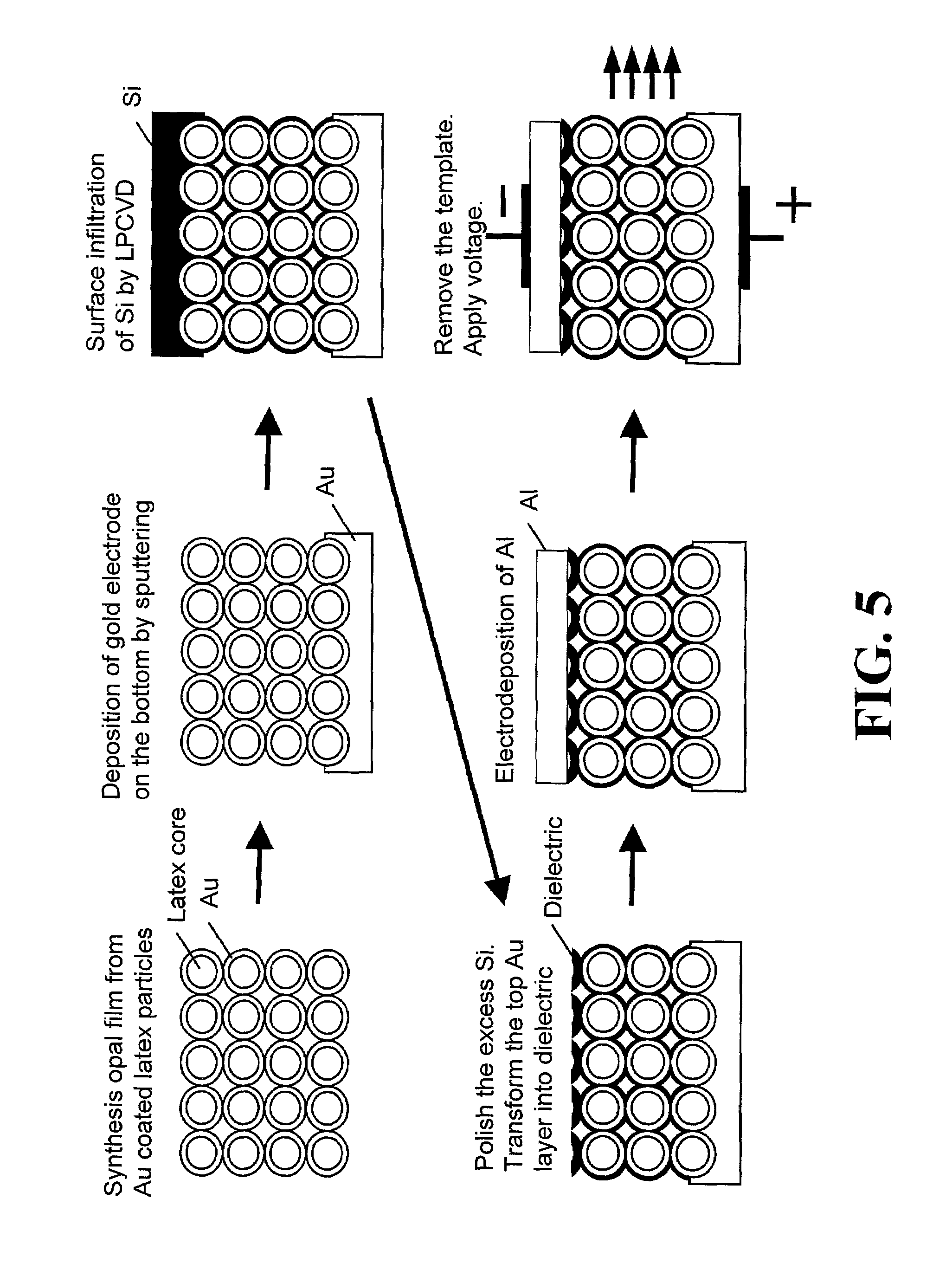 Light emitting photonic crystals