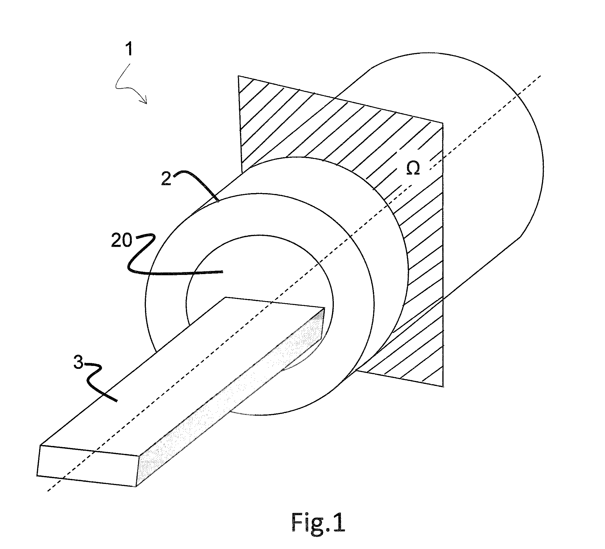 Detector, Three-Dimensional Direct Positron Imaging Unit, and Method to Estimate the Differential of the Radiation Dose Provided to Cancer Cells and Healthy Tissues During Hadrotherapy