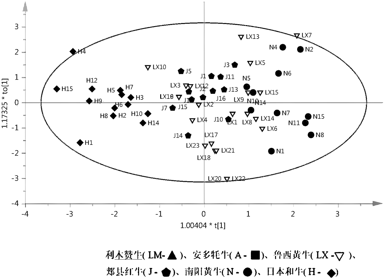 A combination of microsatellite primers and its detection kit for traceability and identification of beef products