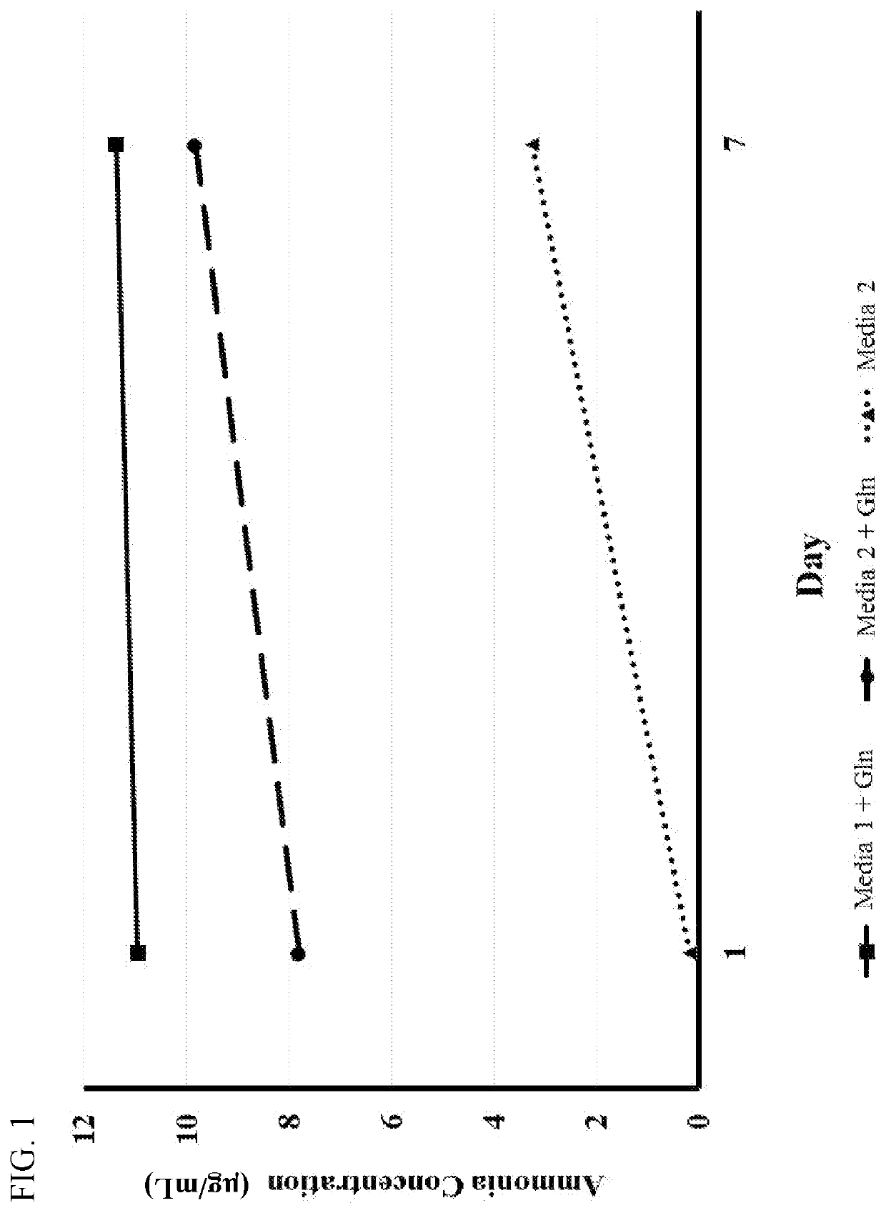 Compositions and methods for increasing the efficiency of cell cultures used for food production