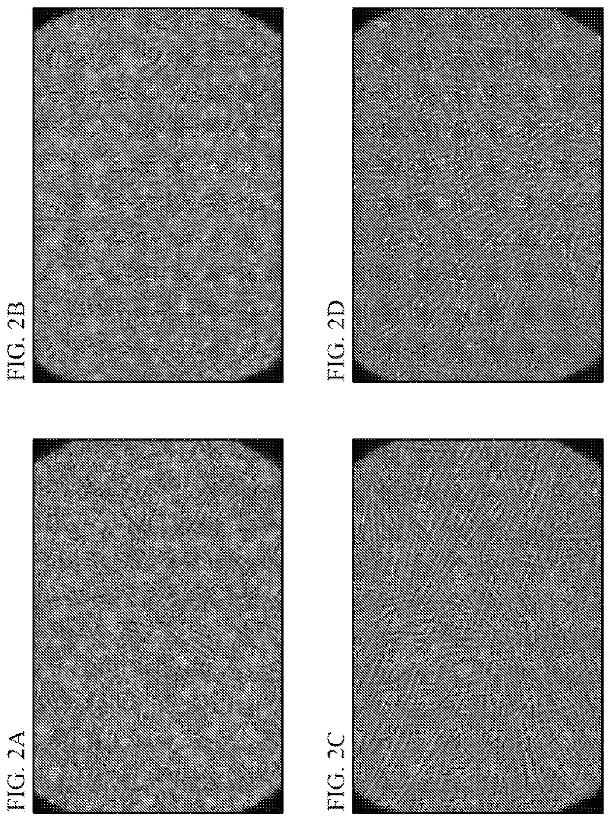 Compositions and methods for increasing the efficiency of cell cultures used for food production