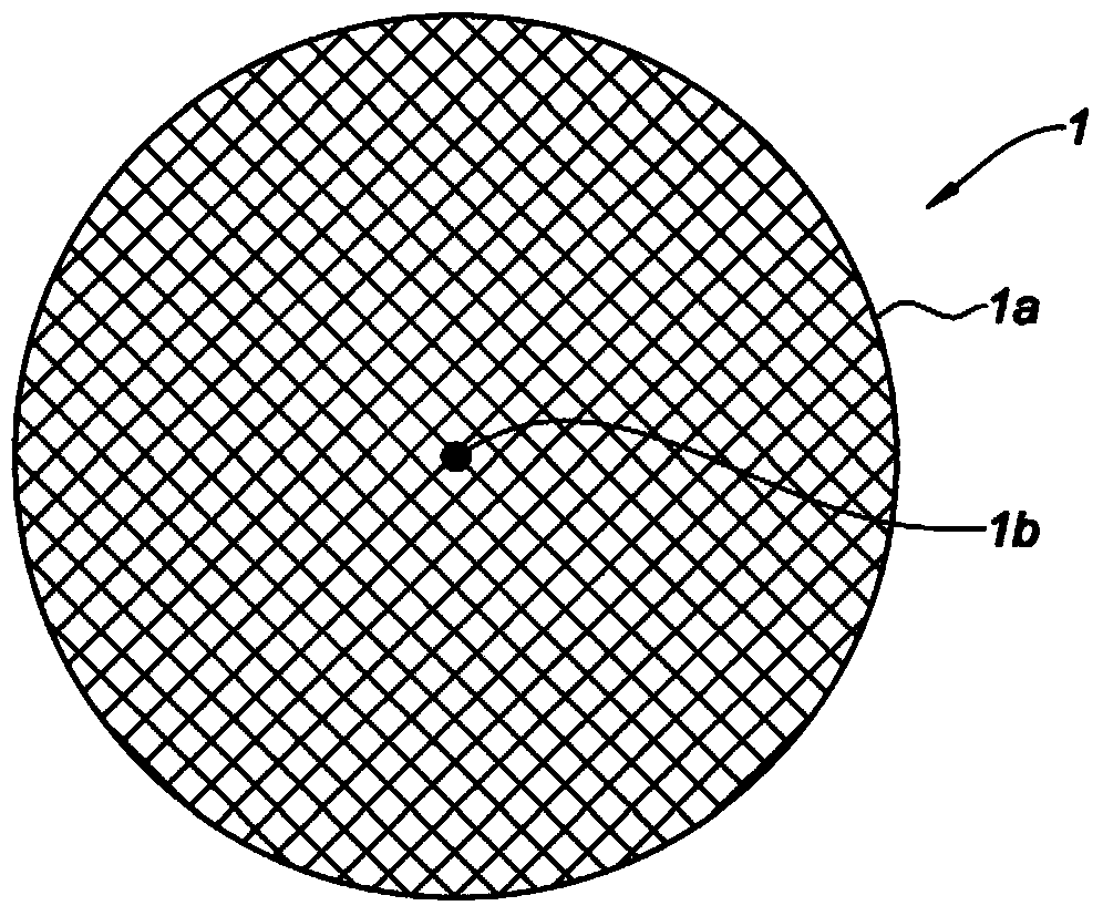 Umbilical hernia prosthesis